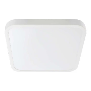 LED Bathroom ceiling light SAMSUNG CHIP LED/18W/230V IP44 6500K 25x25 cm white