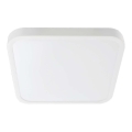 LED Bathroom ceiling light SAMSUNG CHIP LED/48W/230V IP44 3000K 42x42 cm white
