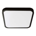 LED Bathroom ceiling light SAMSUNG CHIP LED/48W/230V IP44 6500K 42x42 cm black