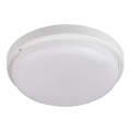 LED Bathroom ceiling light TOLU LED/18W/230V 4000K IP54 white