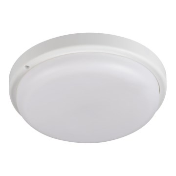 LED Bathroom ceiling light TOLU LED/18W/230V 4000K IP54 white