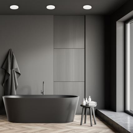 LED Bathroom ceiling light VERA LED/18W/230V 4000K IP65 white