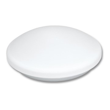 LED Bathroom ceiling light VICTOR LED/25W/230V IP44