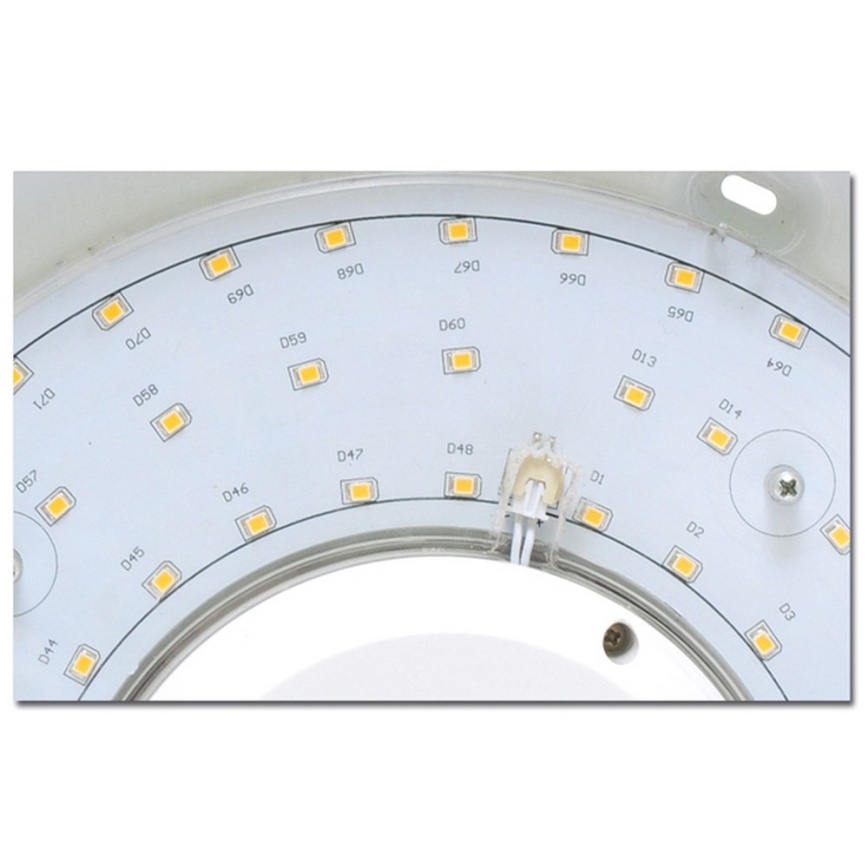 LED Bathroom ceiling light VICTOR LED/25W/230V IP44