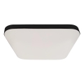 LED Bathroom ceiling light with a sensor NEMO LED/16W/230V IP44 black