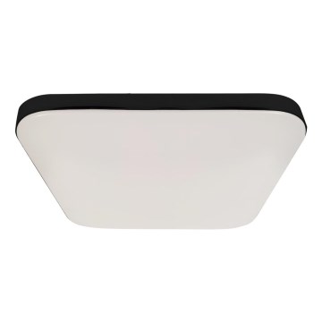 LED Bathroom ceiling light with a sensor NEMO LED/16W/230V IP44 black