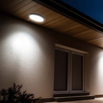 LED Bathroom ceiling light with sensor LED/24W/230V 4000K IP44 black + remote control