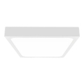 LED Bathroom ceiling light with sensor LED/24W/230V 4000K IP44 white