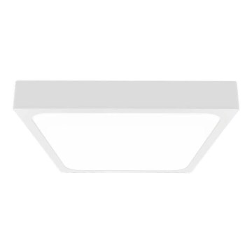 LED Bathroom ceiling light with sensor LED/24W/230V 4000K IP44 white