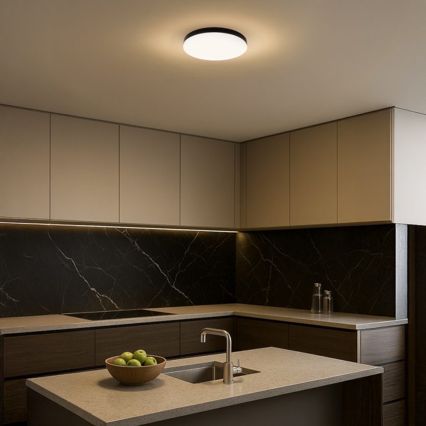 LED Bathroom ceiling light with sensor MAYA LED/13W/230V d. 33 cm IP44 black