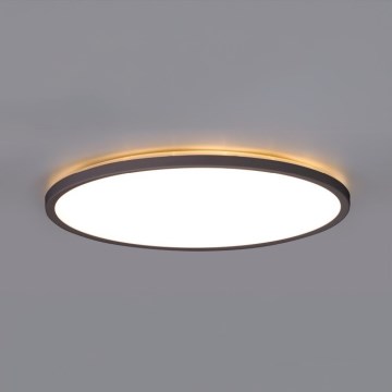 LED Bathroom light with motion and dusk sensor NIVERA LED/12W/230V IP54 3000/4000/6000K d. 22,5 cm black + remote control