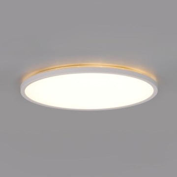 LED bathroom light with motion and dusk sensor NIVERA LED/12W/230V IP54 3000/4000/6000K Ø 22.5 cm white + remote control