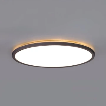 LED Bathroom light with motion and dusk sensor NIVERA LED/18W/230V IP54 3000/4000/6000K d. 30 cm black + remote control