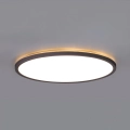 LED Bathroom light with motion and dusk sensor NIVERA LED/24W/230V IP54 3000/4000/6000K d. 30 cm black + remote control