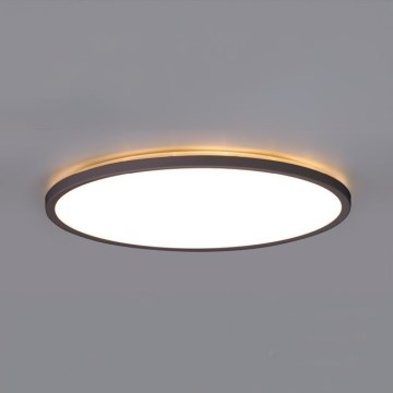 LED Bathroom light with motion and dusk sensor NIVERA LED/24W/230V IP54 3000/4000/6000K d. 30 cm black + remote control