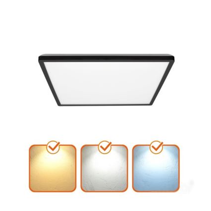 LED Bathroom light with motion and dusk sensor NIVERA LED/12W/230V IP54 3000/4000/6000K 22,5x22,5 cm black + remote control