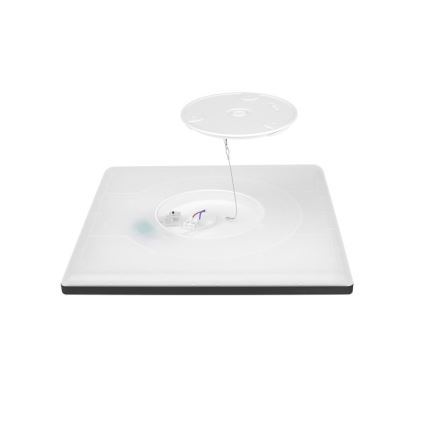 LED Bathroom light with motion and dusk sensor NIVERA LED/12W/230V IP54 3000/4000/6000K 22,5x22,5 cm black + remote control