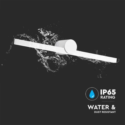 LED Bathroom Mirror Light LED/10W/230V 4000K IP65 White