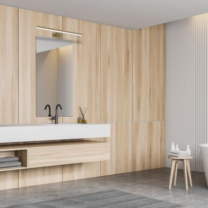 LED Bathroom mirror lighting SHINE LED/13.8W/230V 60 cm IP44 brass