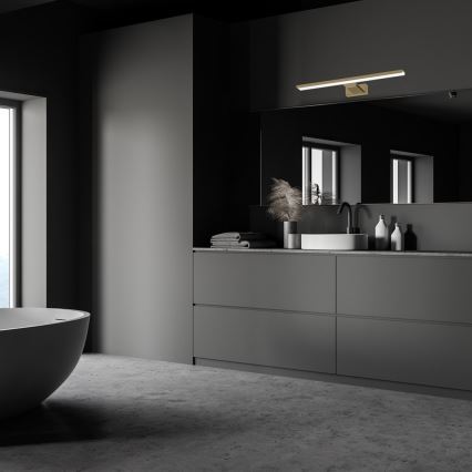 LED Bathroom mirror lighting SHINE LED/13,8W/230V IP44 brass