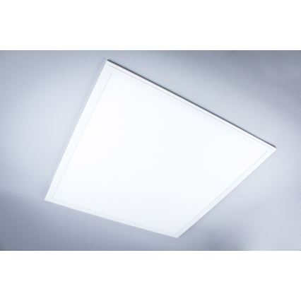 LED Bathroom surface-mounted panel LED/40W/230V 4000K 59,5x59,5 cm IP65 white