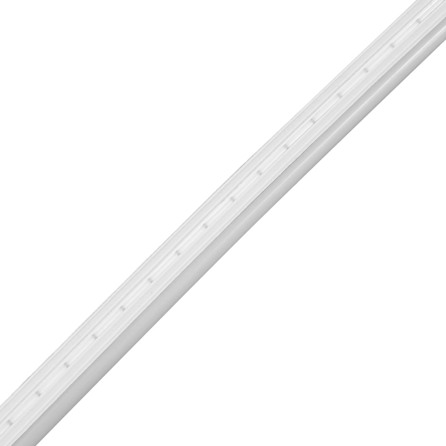LED Bathroom strip NEON EKO-FLEX LED/250W/12V 4000K IP65 25m white