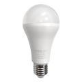 LED Bulb A65 E27/18W/230V 2700K