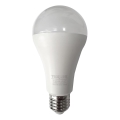 LED Bulb A65 E27/18W/230V 4200K