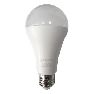 LED Bulb A65 E27/18W/230V 4200K