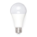 LED bulb A80 E27/18W/230V 3000K