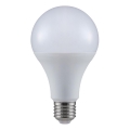 LED Bulb A80 E27/20W/230V 3000K