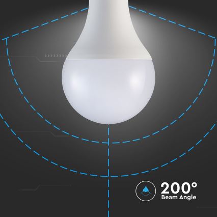 LED Bulb A80 E27/20W/230V 4000K