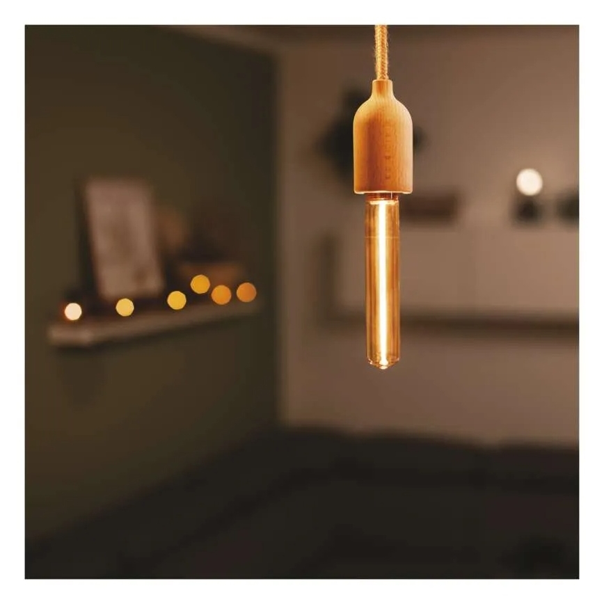 LED Bulb DECO VINTAGE T30 E27/2W/230V 1800K