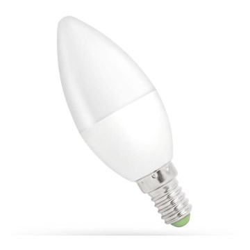 LED Bulb E14/6W/230V 6000K