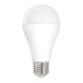 LED Bulb E27/20W/230V 3000K