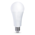 LED Bulb E27/22W/230V 3000K