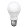 LED Bulb ECOLINE A60 E27/10W/230V 4,000K - Brilagi