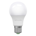 LED Bulb ECOLINE A60 E27/15W/230V 3000K - Brilagi