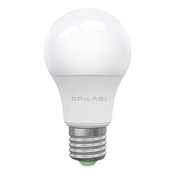 LED Bulb ECOLINE A60 E27/15W/230V 6500K - Brilagi
