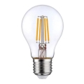 LED Bulb FILAMENT A60 E27/7,3W/230V 3000K