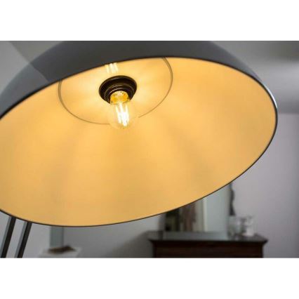 LED Bulb FILAMENT A60 E27 LED/7W/230V 2700K