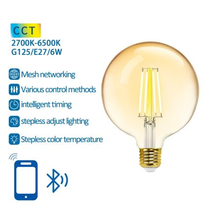 LED Dimmable bulb FILAMENT MESH Smart G125 E27/6W/230V 2700-6500K - Aigostar