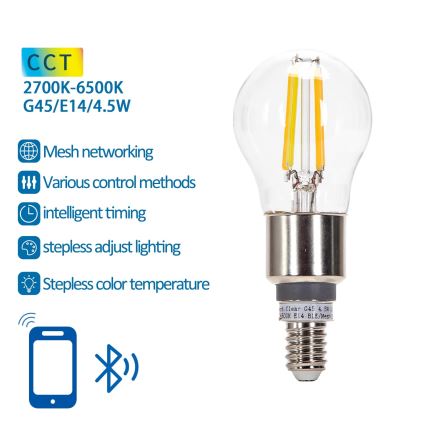 LED Dimmable bulb FILAMENT MESH Smart G45 E14/4,5W/230V 2700-6500K - Aigostar