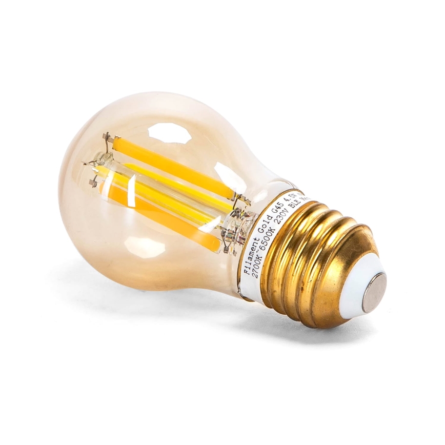 LED Dimmable bulb FILAMENT MESH Smart G45 E27/4,5W/230V 2700-6500K - Aigostar