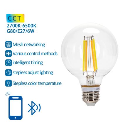 LED Dimmable bulb FILAMENT MESH Smart G80 E27/6W/230V 2700-6500K - Aigostar