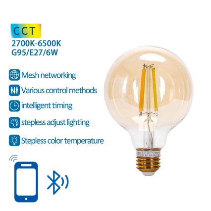 LED Dimmable bulb FILAMENT MESH Smart G95 E27/6W/230V 2700-6500K - Aigostar