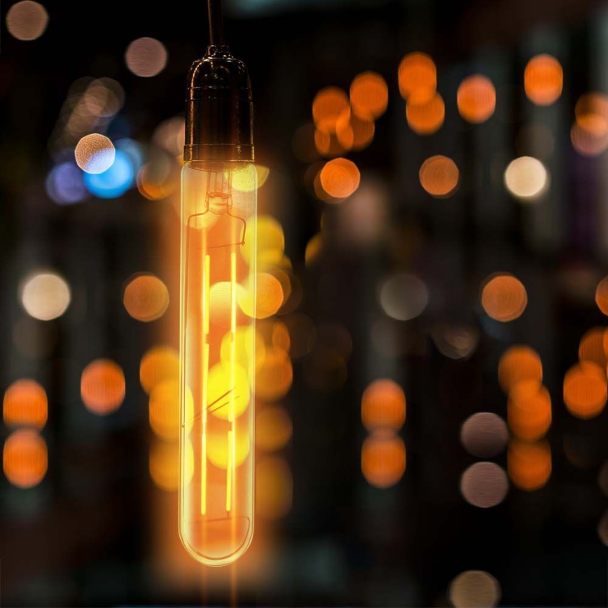 LED Bulb FILAMENT T30 E27/6W/230V 2200K
