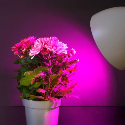 LED Bulb for plant growth PLANTY E27/11W/230V 1200K white