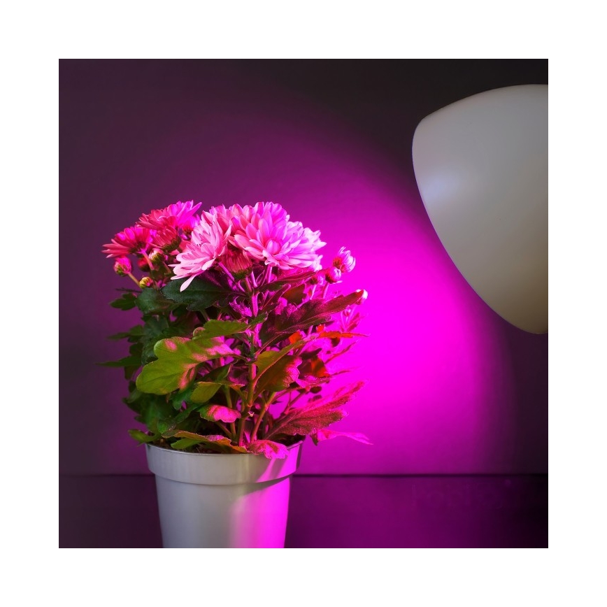 LED Bulb for plant growth PLANTY E27/11W/230V 1200K white