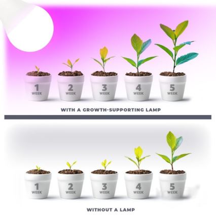 LED Bulb for plant growth PLANTY E27/11W/230V 1200K white